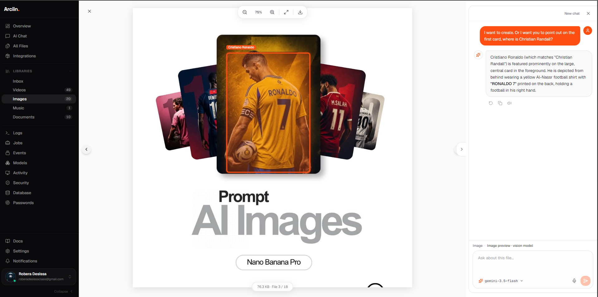 Arciin Ask AI — image preview with detection outline, sidebar libraries, and vision chat panel